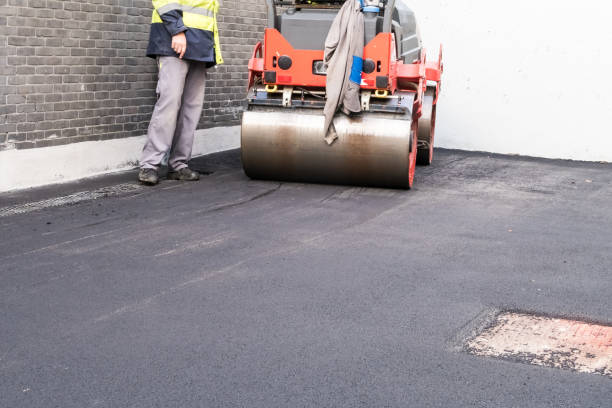 Driveway Maintenance Services in Falfurrias, TX